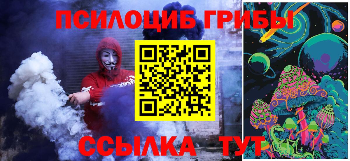 Кингисепп  Галлюциногенные грибы Magic Shrooms  Псилоцибиновые грибы ЛСД  Вход с VPN 